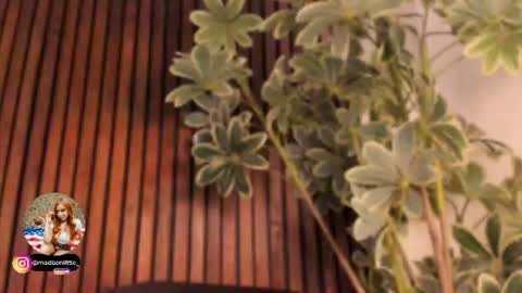 Madi  online show from August 8, 5:13 pm