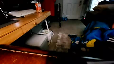 Diandlin online show from August 30, 5:46 pm