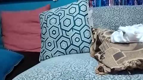 mandrilo7379 online show from August 4, 5:15 am