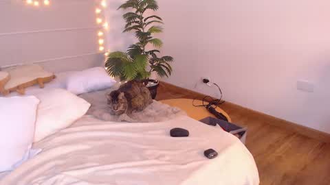 Anny online show from July 31, 10:21 am