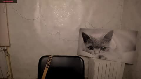 Mariia online show from August 5, 2:48 pm