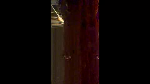 marie00090 online show from June 8, 3:34 am