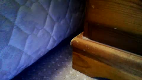 markblink24 online show from August 10, 7:48 pm