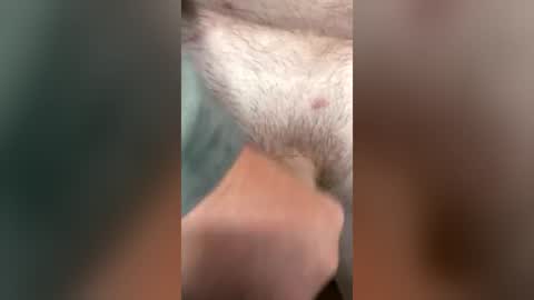marrieddaddycheating online show from August 3, 3:30 pm