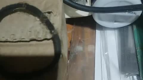 jameson mask online show from August 8, 3:28 am