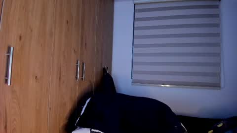 mastrangelo_x online show from August 3, 11:34 pm
