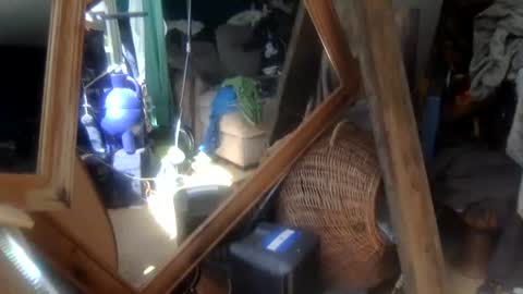 matureman1234 online show from May 25, 9:44 am