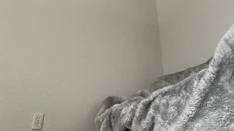 DANKFLOWER online show from July 10, 12:27 am
