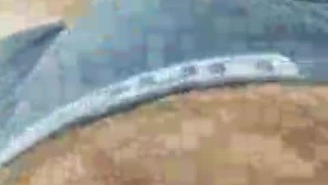 maxega1982 online show from May 30, 3:02 pm