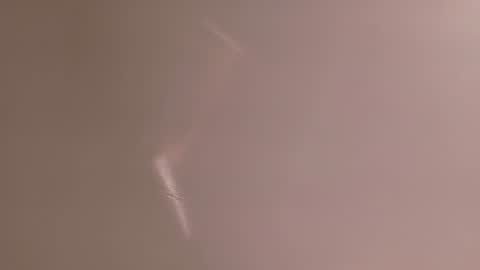 maya_house online show from August 4, 5:59 am
