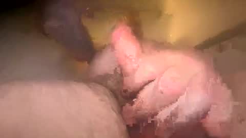 Dens cam online show from May 4, 10:00 pm