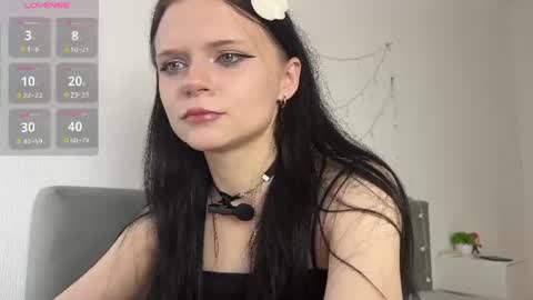 meow3cha online show from August 6, 3:38 am