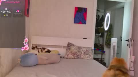 Megan online show from August 12, 11:34 am
