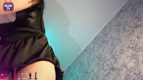 meowkami online show from August 13, 2:03 am