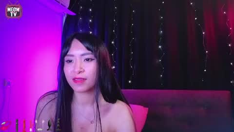 meowkami online show from August 15, 4:16 am