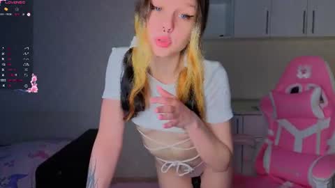 meowli online show from August 16, 10:41 am