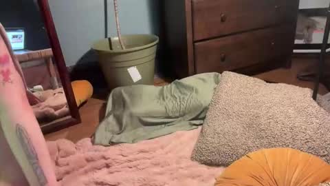 meowmaxx online show from May 4, 4:40 am