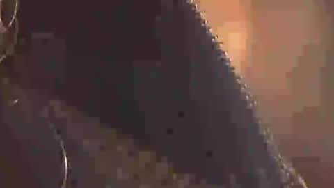Alexismerton online show from August 13, 1:58 pm