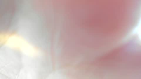 Meryshrimp online show from July 29, 12:56 pm
