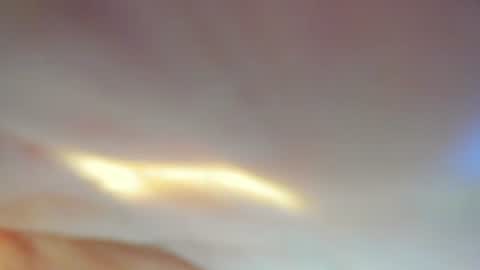 Meryshrimp online show from August 9, 5:47 pm
