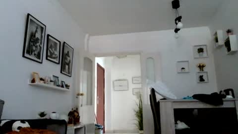 MILO MIAMI online show from July 14, 5:14 pm