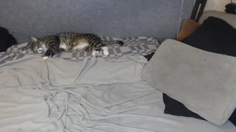 michael_danymans online show from July 31, 10:04 pm