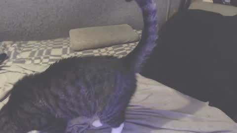 michael_danymans online show from August 2, 6:26 pm