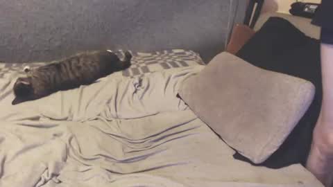 michael_danymans online show from August 4, 8:39 pm