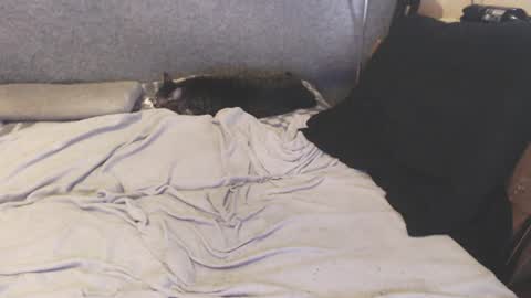 michael_danymans online show from August 5, 11:19 am