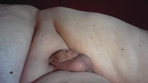micropimmel online show from August 9, 5:58 pm