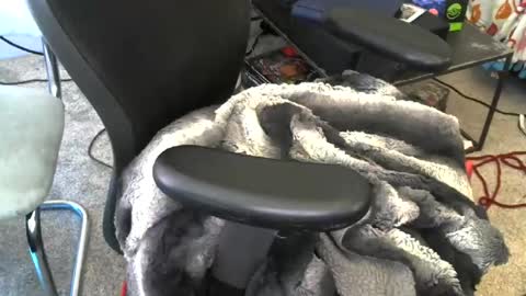 mike_davis44444 online show from July 10, 5:19 pm