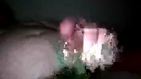 mikemalas1000 online show from April 12, 12:17 pm