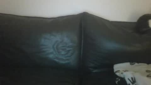 MilaGabor online show from March 25, 10:38 pm