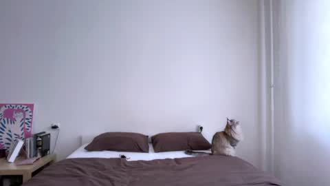 milky__way_ online show from August 13, 3:59 pm