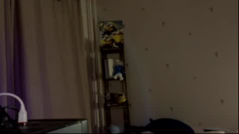 Millie online show from August 4, 2:14 pm