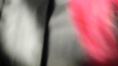 mishka__ online show from August 15, 1:53 am