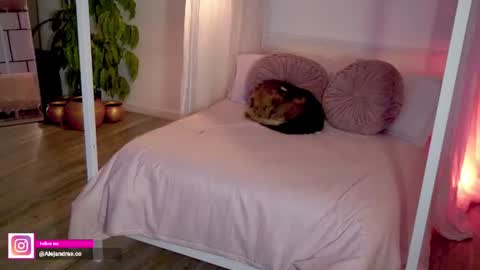 Alejandra online show from August 11, 12:01 am