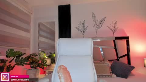 Sofia Castro online show from August 14, 4:10 pm