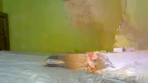 miss_staceyy online show from June 9, 11:33 pm
