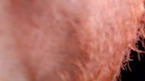 mitchbukanan online show from July 20, 6:22 pm