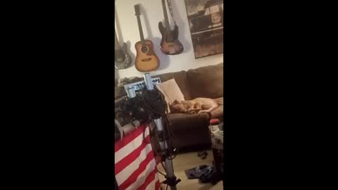 BobbyMitchGa online show from April 29, 6:05 am