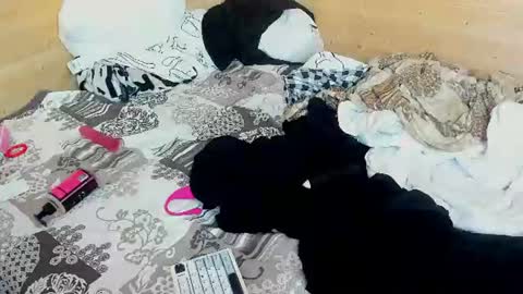 mmeeowww online show from August 12, 8:49 am