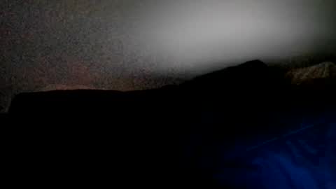Roe Dawn online show from August 9, 6:25 am
