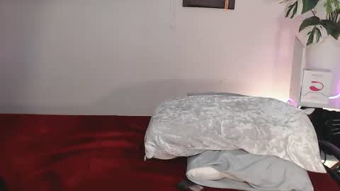 MollyGrayXx online show from August 5, 11:08 am