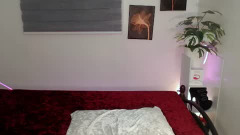 MollyGrayXx online show from August 9, 10:38 am