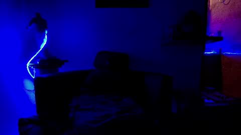 morgan online show from August 8, 10:10 pm