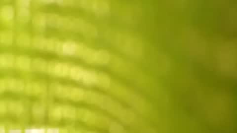 mougly_426 online show from August 18, 6:58 pm