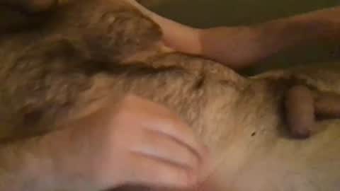 mr182761uncut online show from June 14, 7:27 am