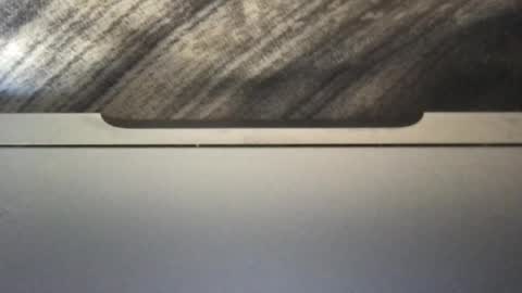 mr834565 online show from August 8, 3:34 pm