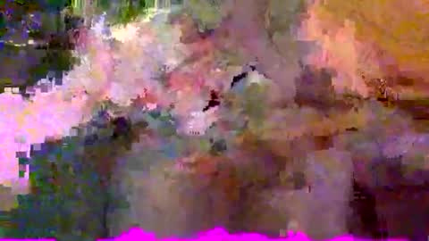 mrkoterz online show from April 25, 5:52 pm